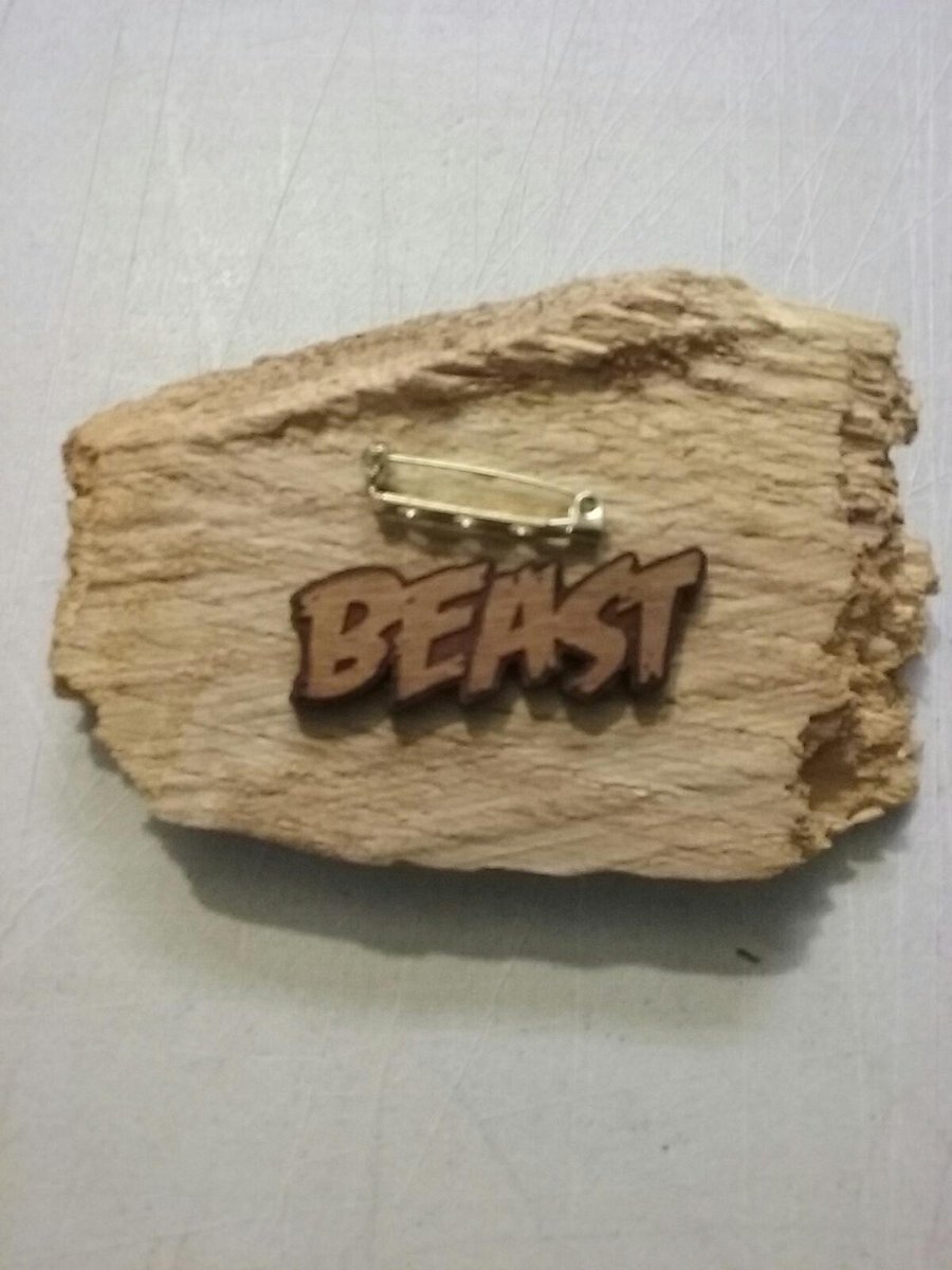 Image of BEAST pin
