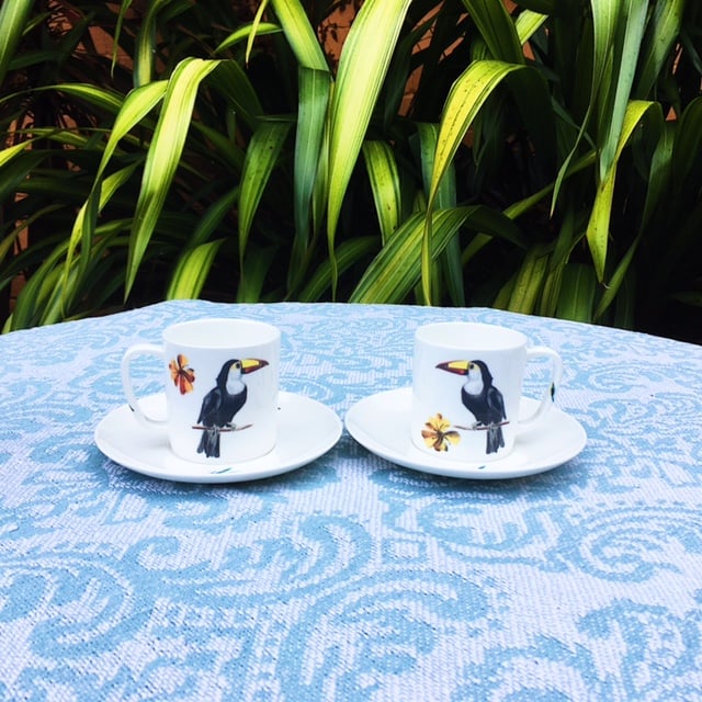 Image of Illustrated Toucan Espresso Cup and Saucer