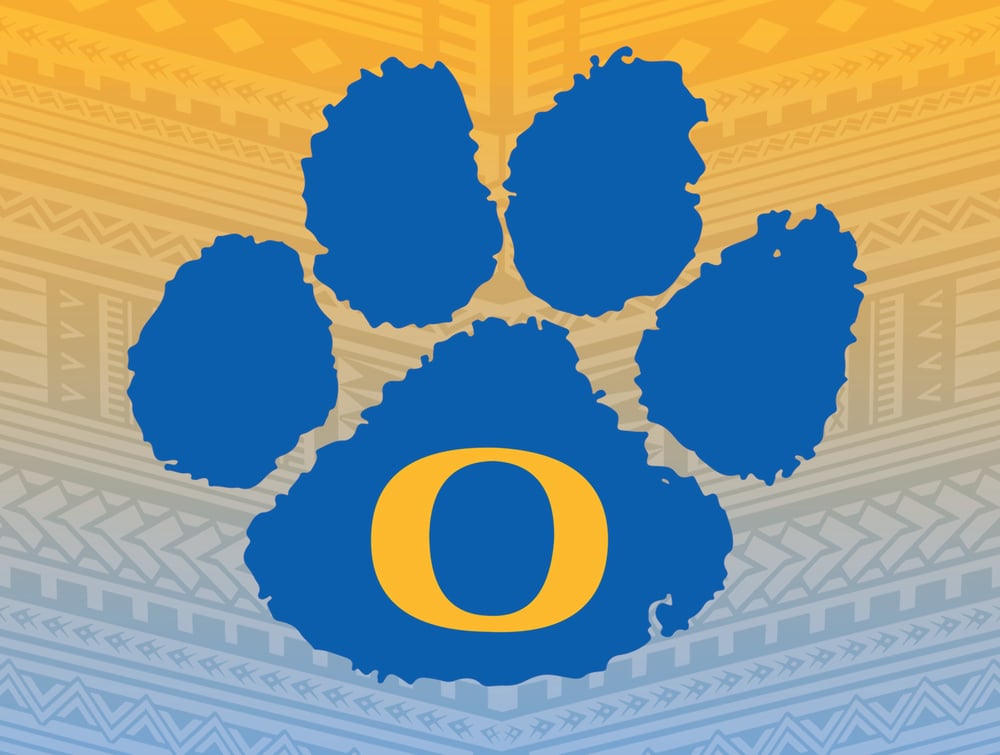 Image of Plush Football Blanket