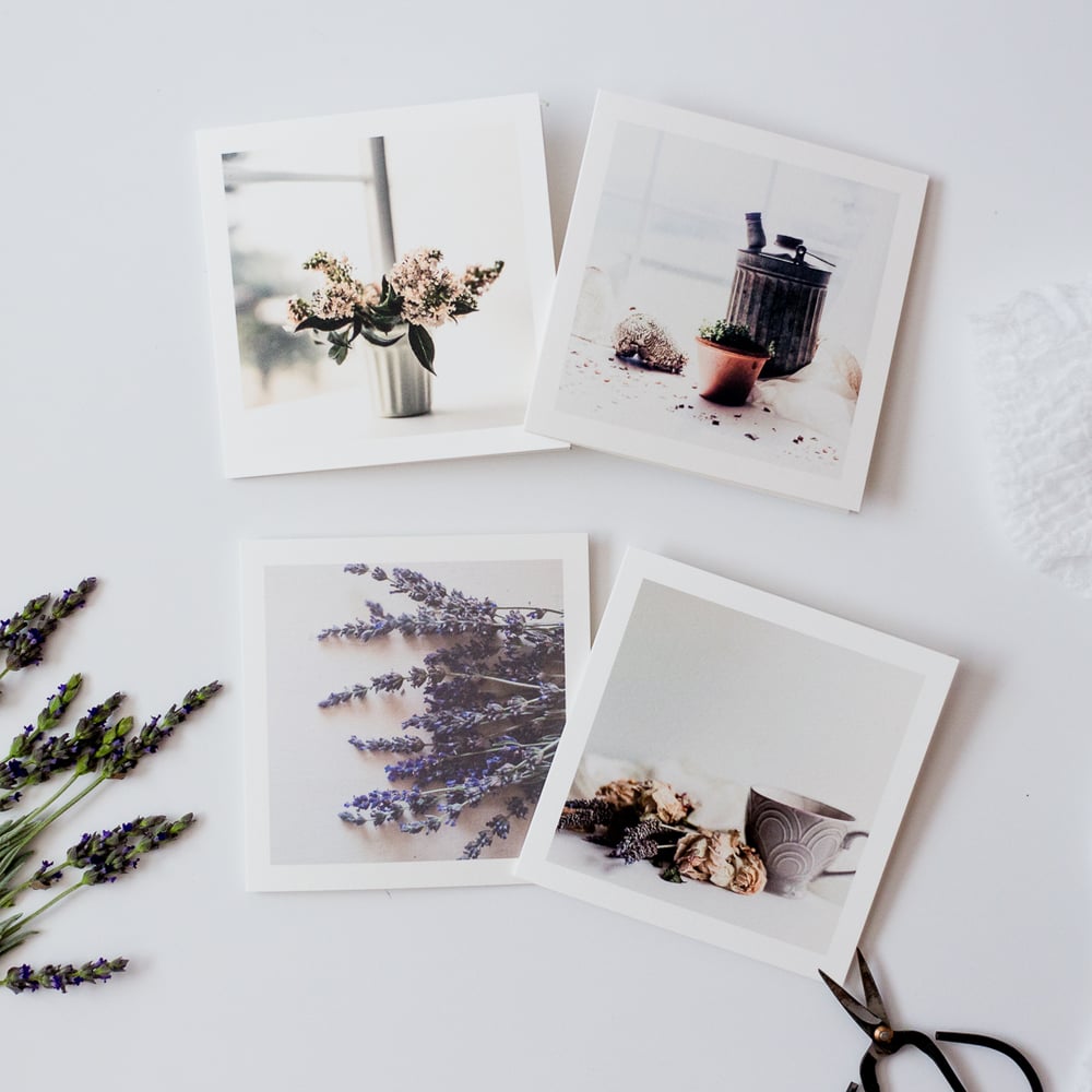 Image of Natures Variety Note Cards