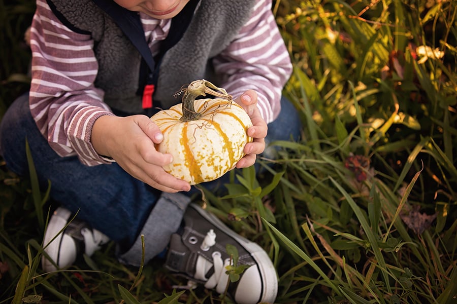 Image of Fall Mini-Sessions