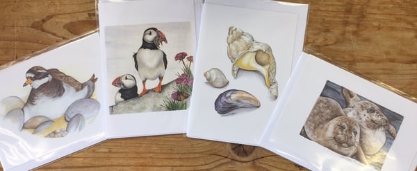 Image of Seaside cards from Dormouse Gallery