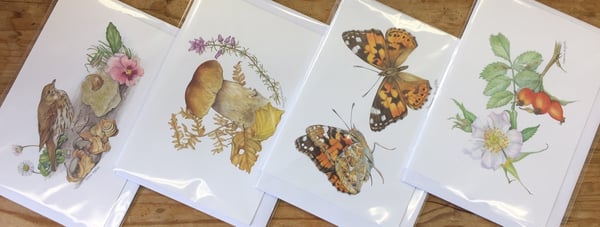 Image of Summer Hedgerow greetings cards from Dormouse Gallery