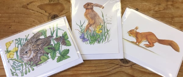 Image of Country Wildlife greetings cards from Dormouse Gallery