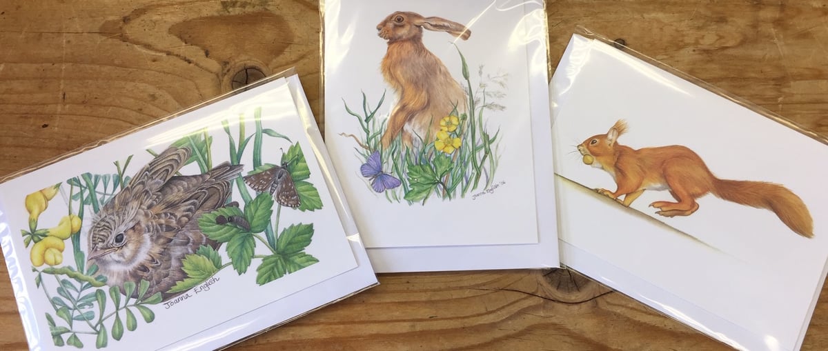 Country Wildlife greetings cards from Dormouse Gallery | Dormouse Gallery