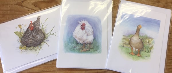 Image of Farmyard cards from Dormouse Gallery