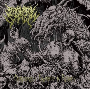 Image of "Cadaverously Enwormed in Putridity" Promo 2017