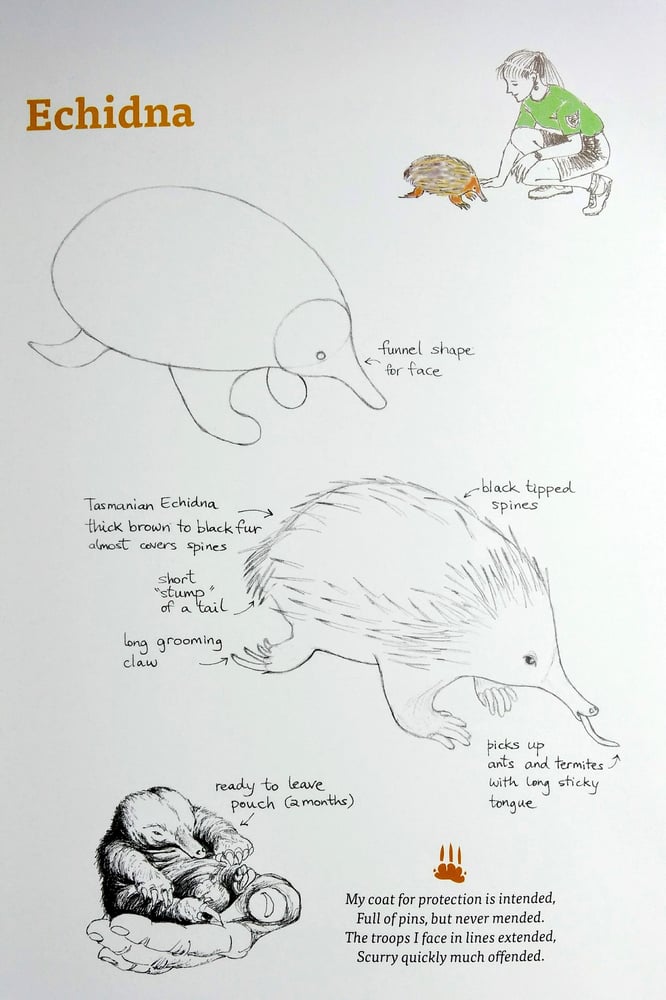 Image of Draw Aussie Animals