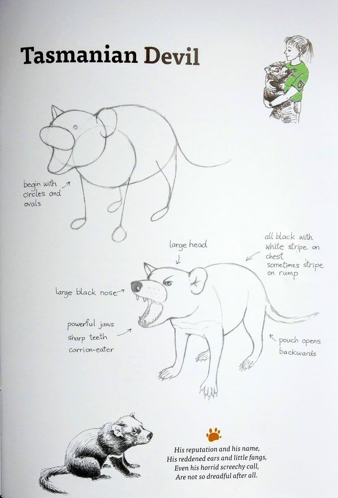 Image of Draw Aussie Animals