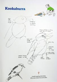 Image 4 of Draw Aussie Animals