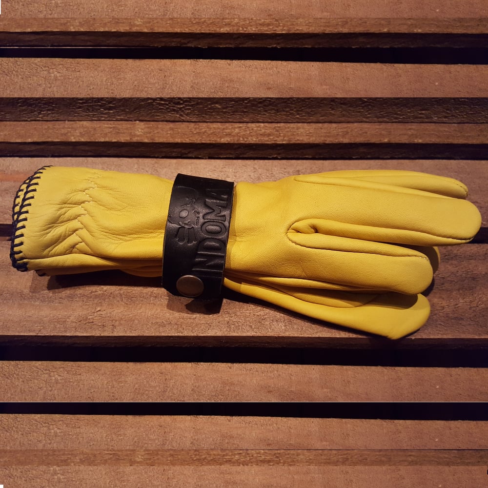 Image of Indomable glove holder