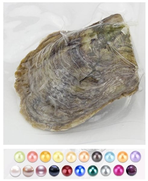 Image of Saltwater Oyster Openings