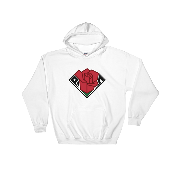 Image of P.S Hoodie [COLOR LOGO]