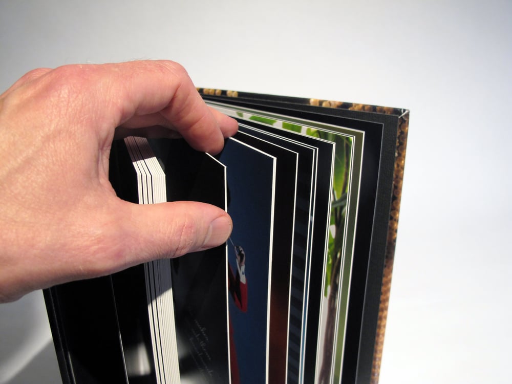 Image of 'Le Petit Prince: LPP Volume Two' Ultimate Collector's Limited Edition ArtBook