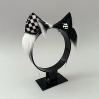 Image 2 of Checked Kitten 2