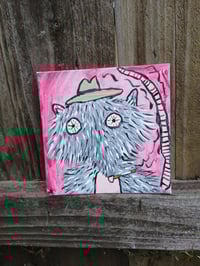 Image 7 of Possum With Big Eyes