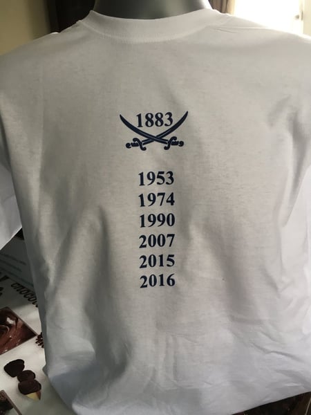 Image of Promotion Years T Shirt (Free UK postage)