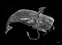 Image 1 of SPERM WHALE SQUID BATTLE T-SHIRT AND HOODIE