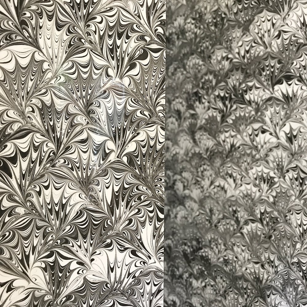 Image of Marbled Paper #36 'Black on White Peacock'
