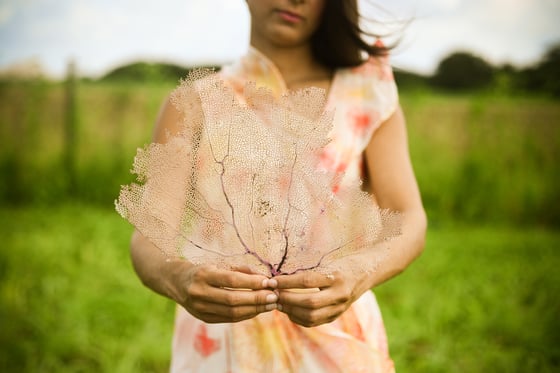 Image of Coral and Hands