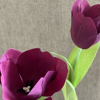 Image 1 of Tulip