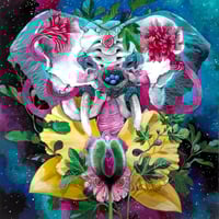 Image 1 of "Matrix of Creation"