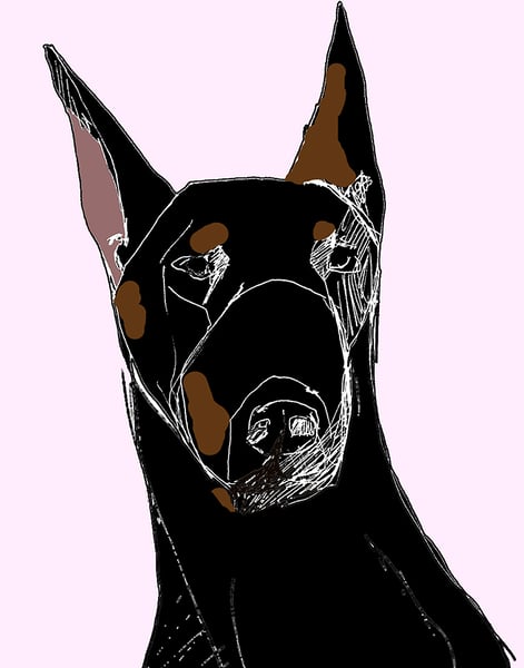 Image of Doberman Pinscher