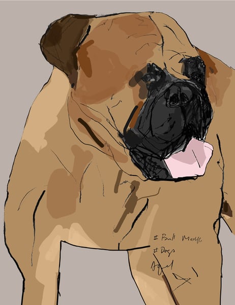 Image of Bull Mastiff