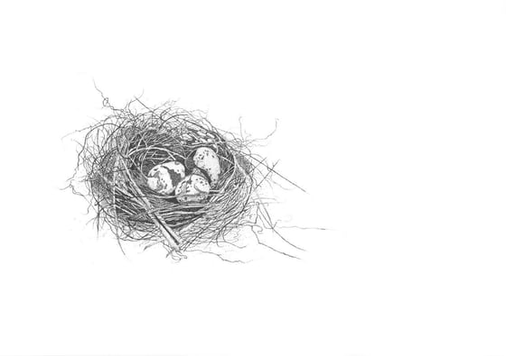 Image of My Nest