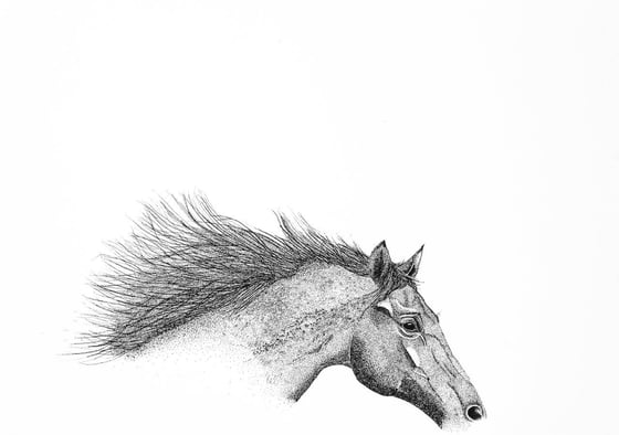 Image of wind swept