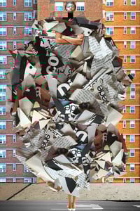 Image 1 of Plate No. 81