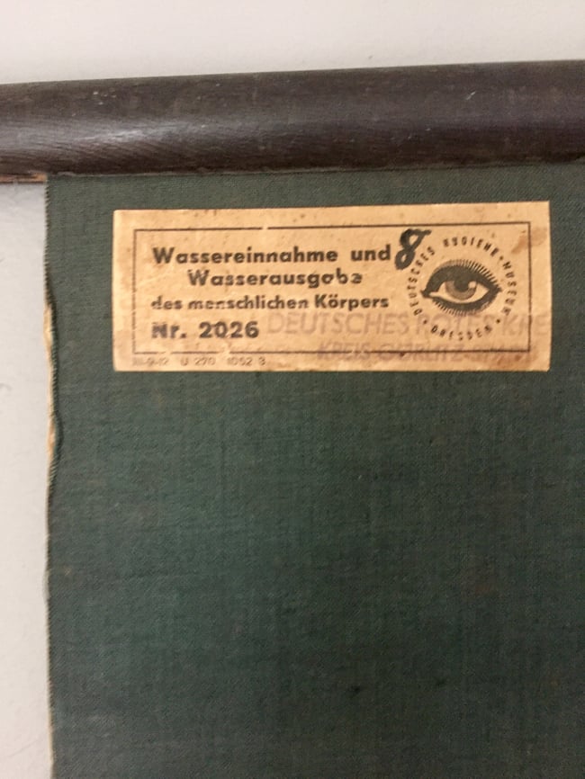 German biology chart