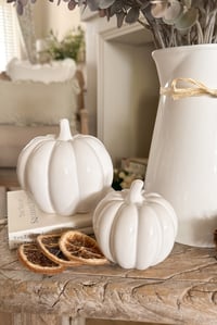 Image 1 of SALE! White Ceramic Pumpkins ( Set or Singles )