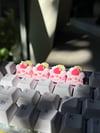 [NEW] Glitter Strawbeary Waffles Artisan Keycap
