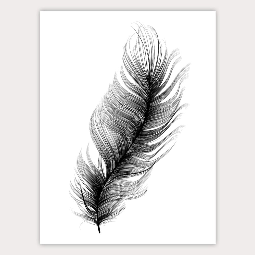 Image of FEATHER 50X70CM