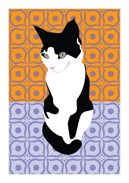 Image of Cat on Moroccan Tiles