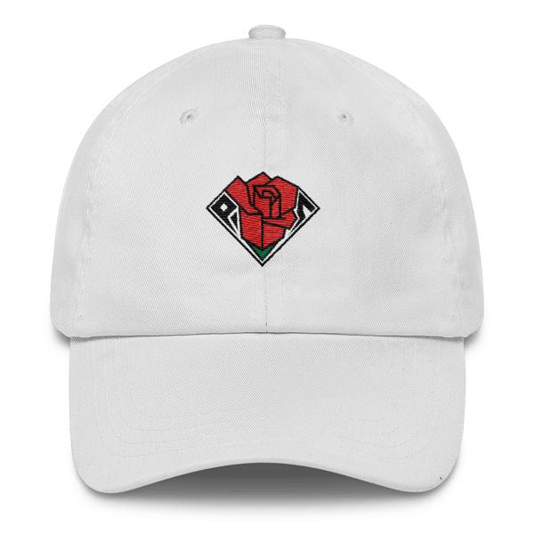 Image of P.S HAT [COLOR]