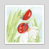 Ladybird Talk Print