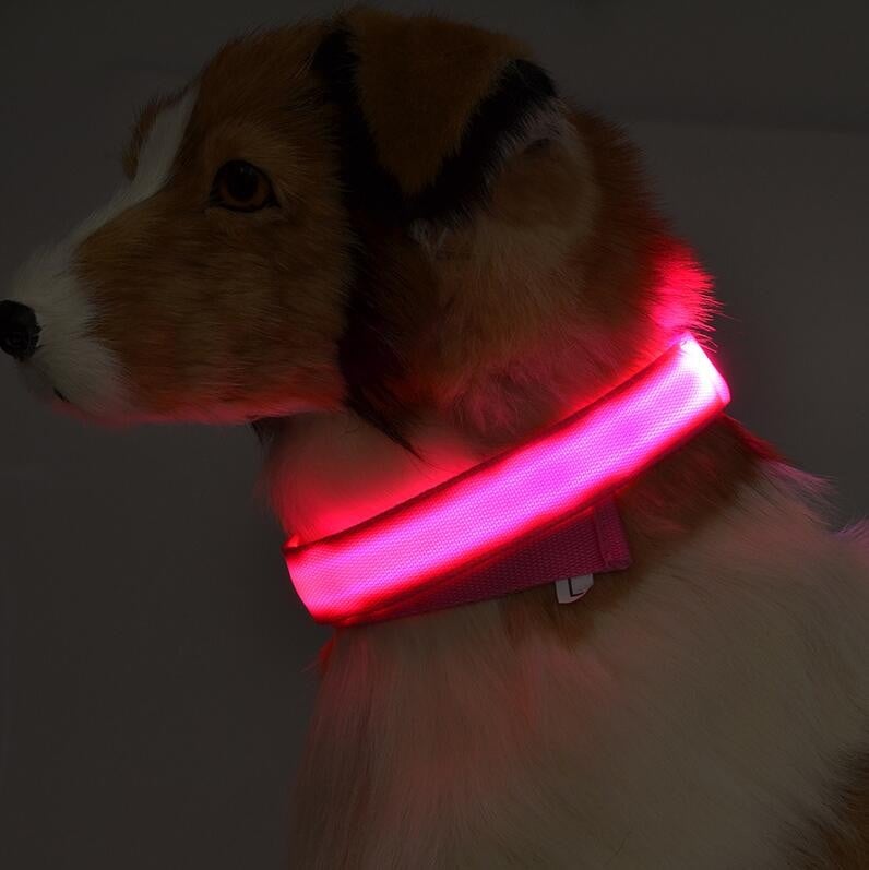 Image of PUPPY SHOP® | LED DOG SAFETY COLLAR