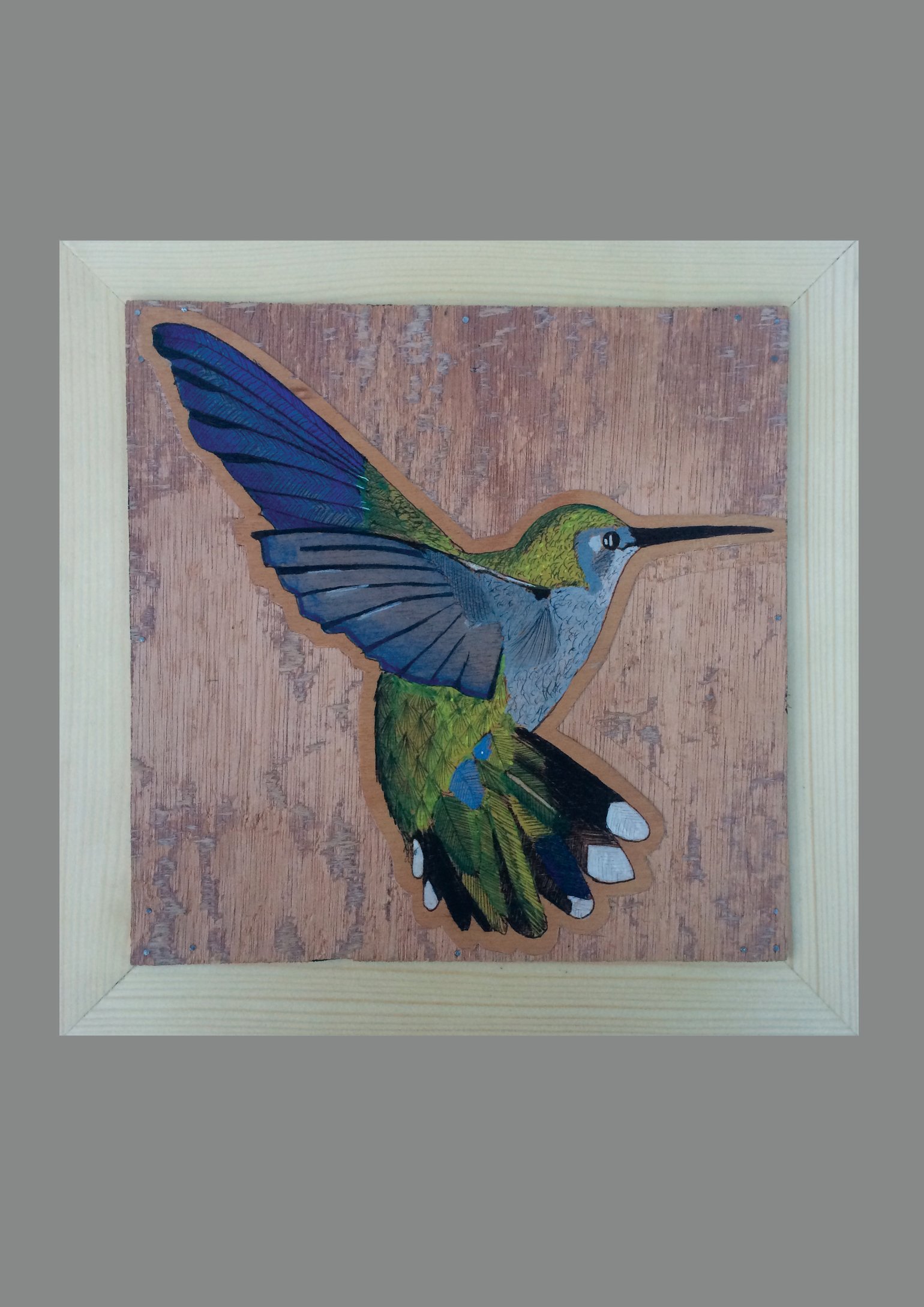 Image of Hummingbird ⌗5