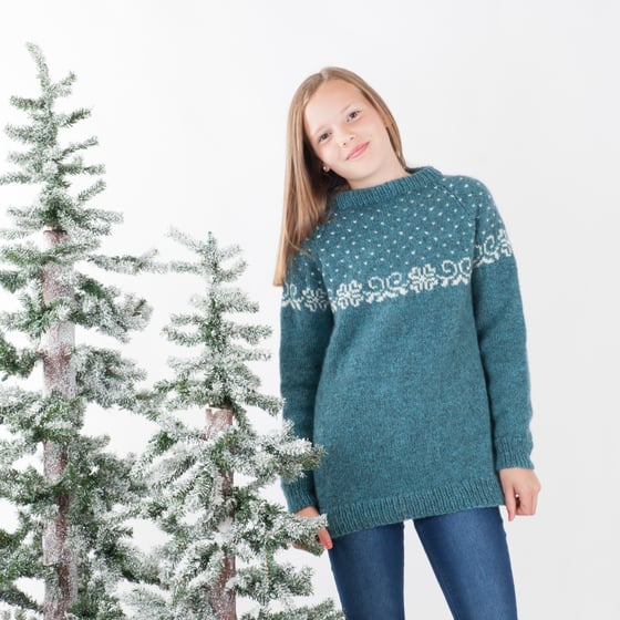 Image of Ane snødryssgenser - oppskrift