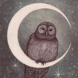 Image of The Owl and the Moon
