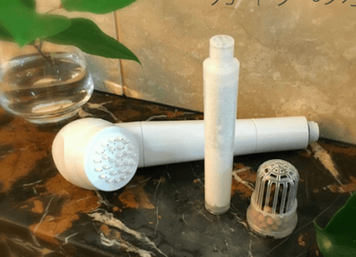 Image of Gaia Water Filter Shower Head