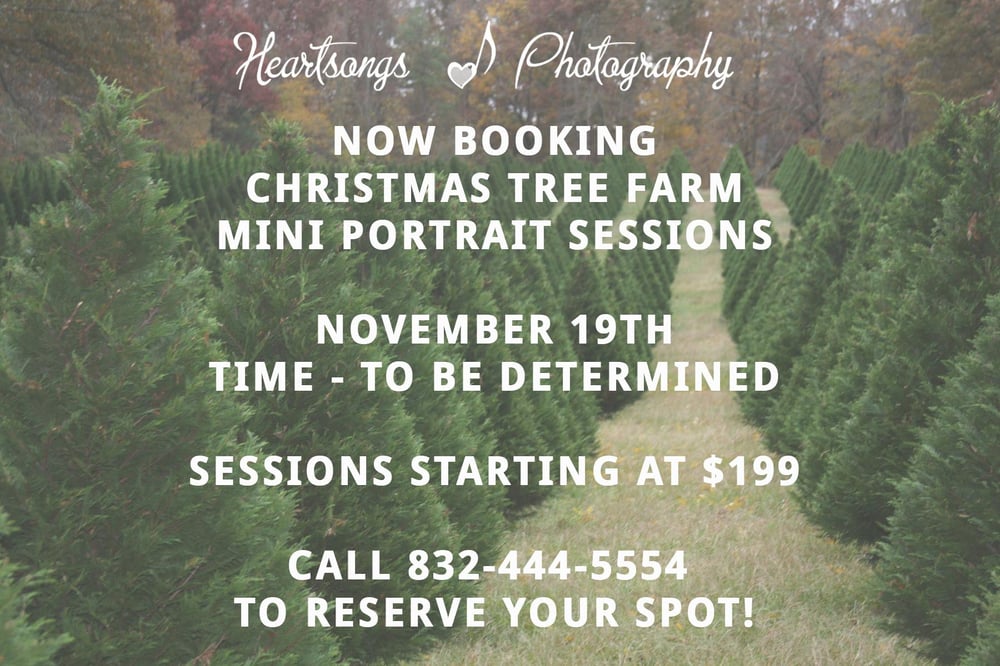 Image of Christmas Tree Farm Session Reservation Fee