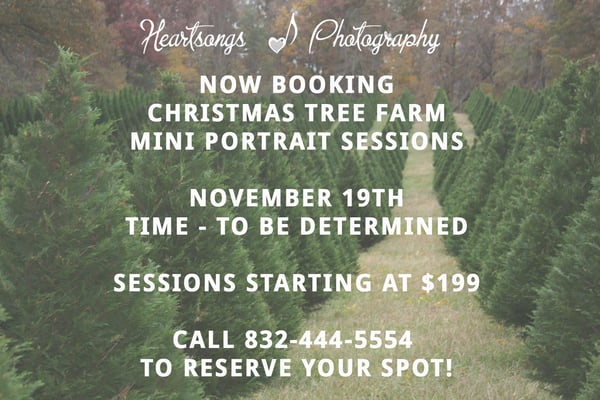 Image of Christmas Tree Farm Session Reservation Fee
