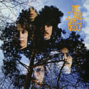 Image 1 of The Stalk-Forrest Group