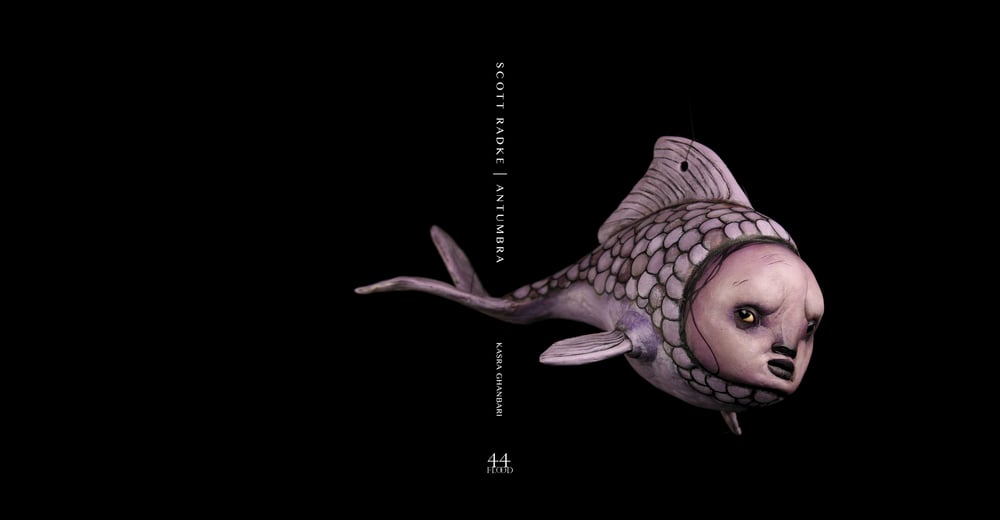 Image of SCOTT RADKE: ANTUMBRA