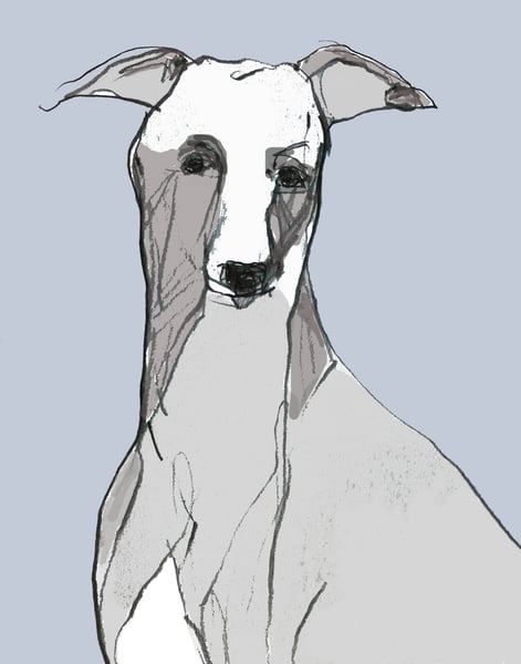 Image of Greyhound