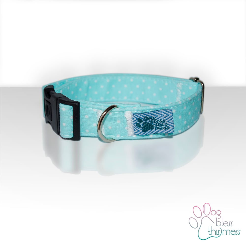 Image of COLLAR CLICK TALLA S