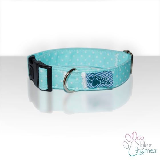 Image of COLLAR CLICK TALLA S